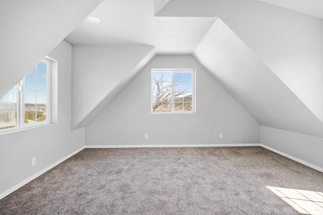 19 Bobcat Hill Rd, Sandia Park, NM 87047 - bonus room with carpet floors and vaulted ceiling