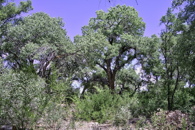 900 Sanchez Rd, Corrales, NM 87048 - photo 24
