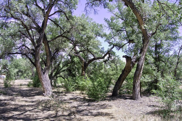 900 Sanchez Rd, Corrales, NM 87048 - photo 20