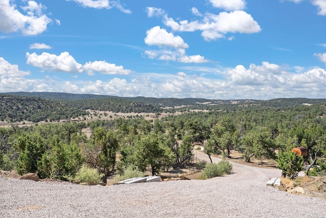 343 Webb Ranch Rd, Pie Town, NM 87827 - mountain view with a heavily wooded area