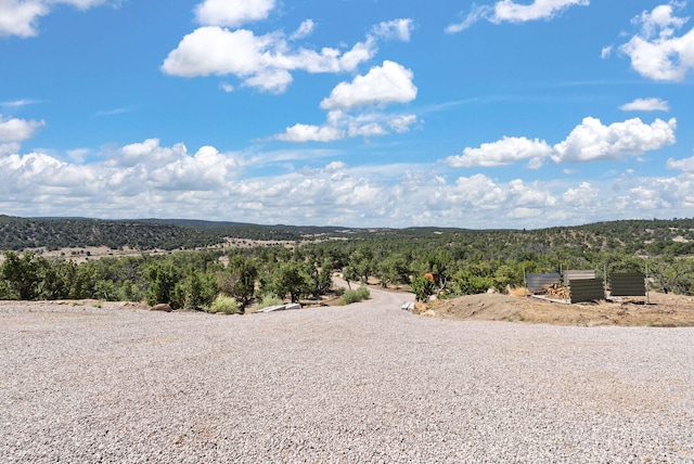 343 Webb Ranch Rd, Pie Town, NM 87827 - view of mountain background with a forest