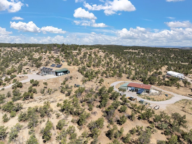 343 Webb Ranch Rd, Pie Town, NM 87827 - overview of rural landscape featuring a desert landscape