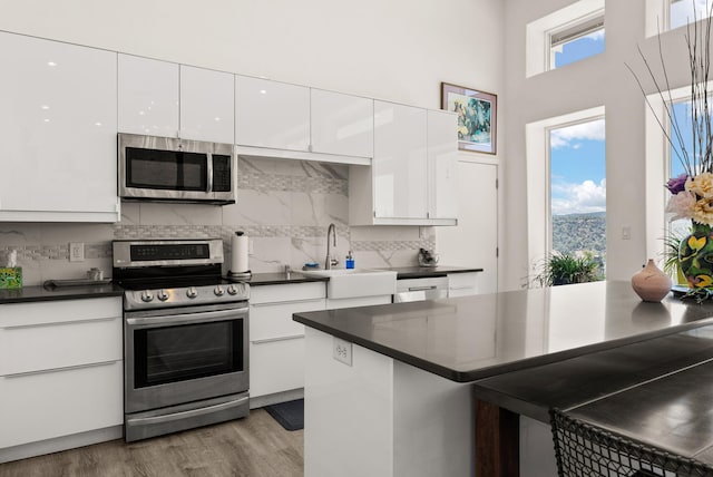 343 Webb Ranch Rd, Pie Town, NM 87827 - kitchen with stainless steel appliances, dark countertops, white cabinets, backsplash, and a towering ceiling