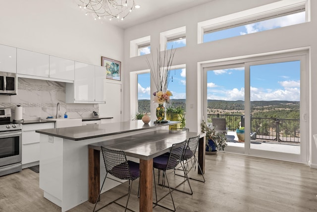 343 Webb Ranch Rd, Pie Town, NM 87827 - kitchen featuring appliances with stainless steel finishes, white cabinetry, modern cabinets, backsplash, and light wood-type flooring