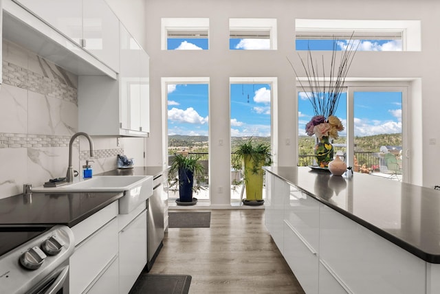 343 Webb Ranch Rd, Pie Town, NM 87827 - kitchen featuring modern cabinets, white cabinetry, wood finished floors, and a towering ceiling