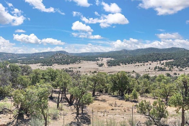 343 Webb Ranch Rd, Pie Town, NM 87827 - view of mountain backdrop featuring rural landscape
