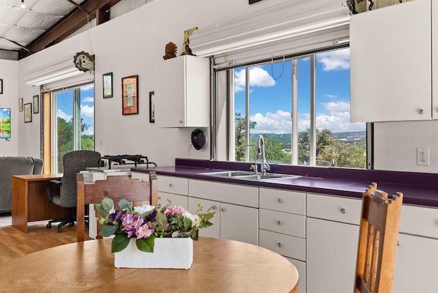 343 Webb Ranch Rd, Pie Town, NM 87827 - kitchen with dark countertops, white cabinets, and wood finished floors