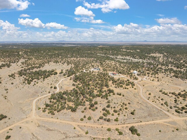 343 Webb Ranch Rd, Pie Town, NM 87827 - bedroom with a high ceiling, access to exterior, a closet, light wood-type flooring, and a ceiling fan