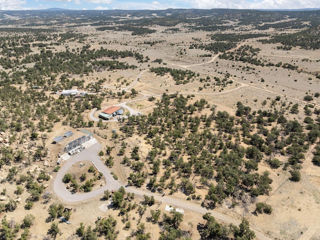 343 Webb Ranch Rd, Pie Town, NM 87827 - overview of rural landscape with a desert landscape and a mountain backdrop
