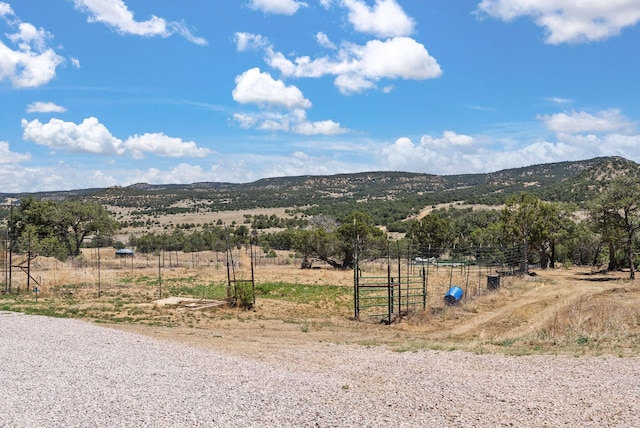 343 Webb Ranch Rd, Pie Town, NM 87827 - mountain view with rural landscape