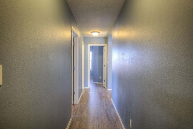 1543 White Pine Dr, Rio Rancho, NM 87144 - hallway with wood finished floors and baseboards