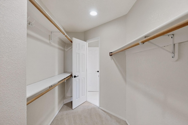8 Fawn Rd, Cedar Crest, NM 87008 - walk in closet featuring light colored carpet