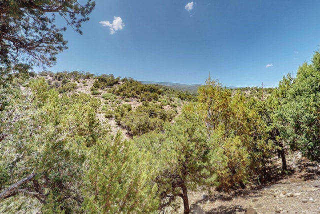 8 Fawn Rd, Cedar Crest, NM 87008 - mountain view with a heavily wooded area