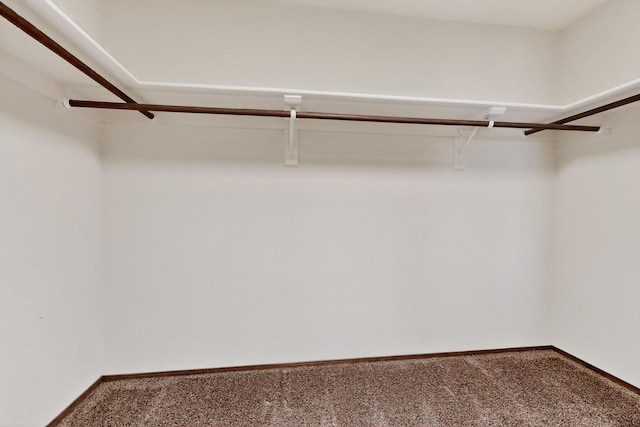 4904 Alberta Ln NW, Albuquerque, NM 87120 - walk in closet with carpet floors