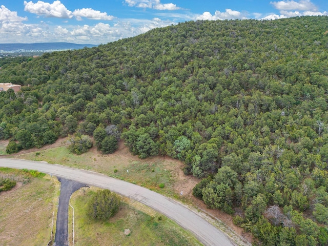 24 Anne Pickard Loop, Tijeras, NM 87059 - photo 1