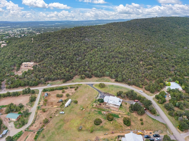 24 Anne Pickard Loop, Tijeras, NM 87059 - photo 10
