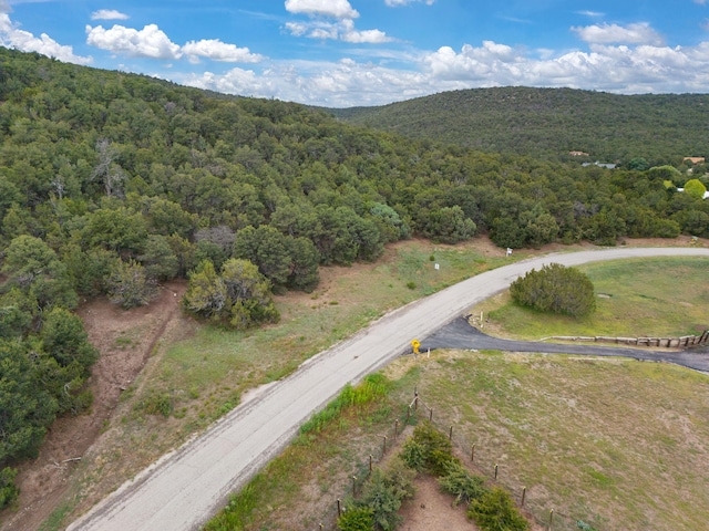 24 Anne Pickard Loop, Tijeras, NM 87059 - photo 12
