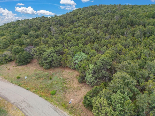 24 Anne Pickard Loop, Tijeras, NM 87059 - photo 13