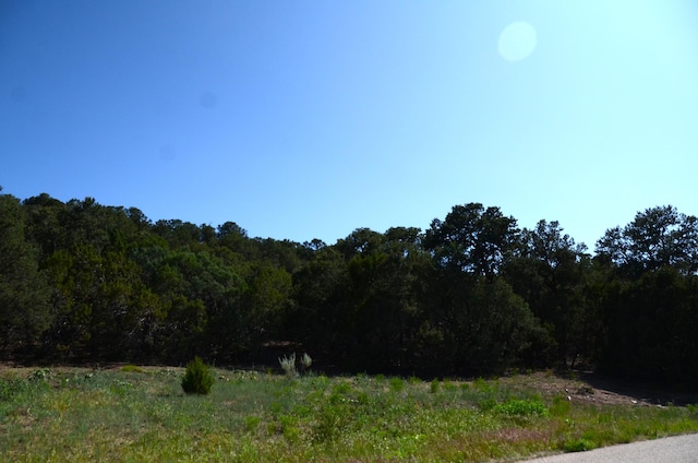 24 Anne Pickard Loop, Tijeras, NM 87059 - photo 16