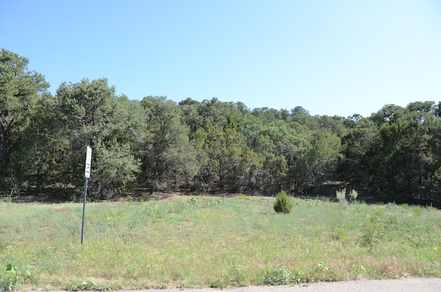 24 Anne Pickard Loop, Tijeras, NM 87059 - photo 20