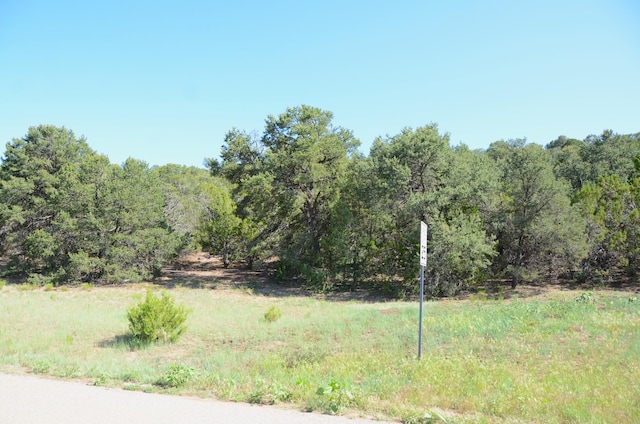 24 Anne Pickard Loop, Tijeras, NM 87059 - photo 21