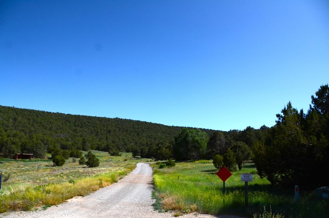 24 Anne Pickard Loop, Tijeras, NM 87059 - photo 22
