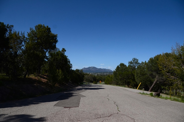 24 Anne Pickard Loop, Tijeras, NM 87059 - photo 23