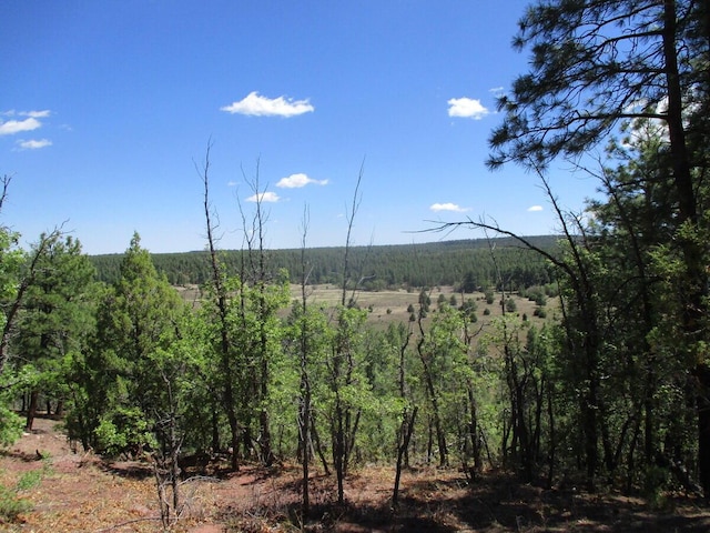 Forest Road 157, Ramah, NM 87321