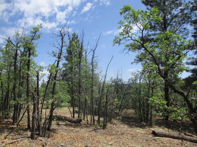 Forest Road 157, Ramah, NM 87321
