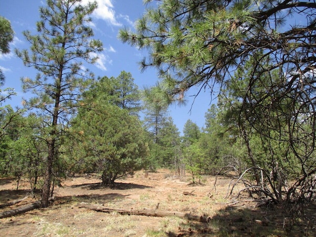 Forest Road 157, Ramah, NM 87321