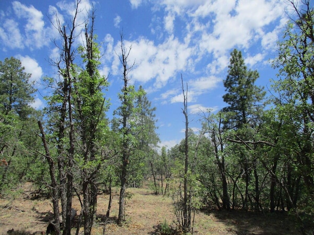 Forest Road 157, Ramah, NM 87321