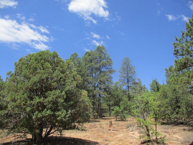 Forest Road 157, Ramah, NM 87321