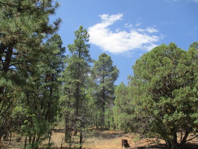 Forest Road 157, Ramah, NM 87321