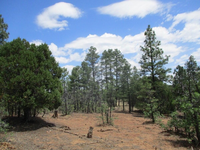 Forest Road 157, Ramah, NM 87321