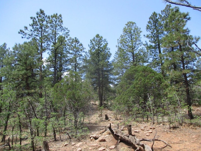 Forest Road 157, Ramah, NM 87321