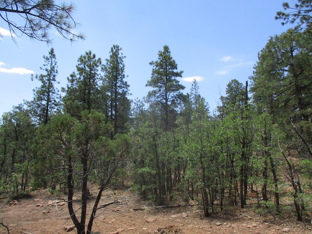 Forest Road 157, Ramah, NM 87321