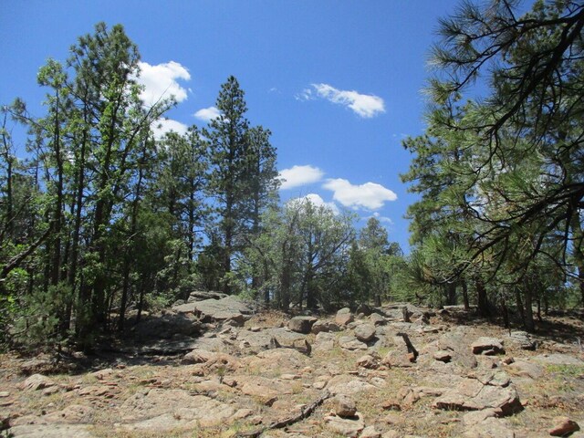 Forest Road 157, Ramah, NM 87321