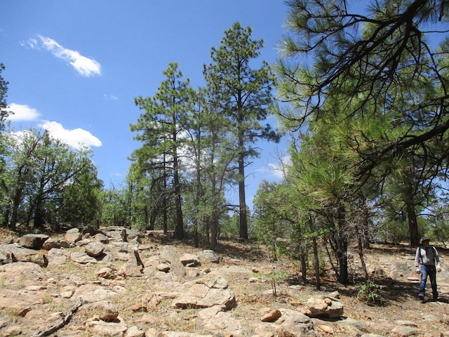 Forest Road 157, Ramah, NM 87321