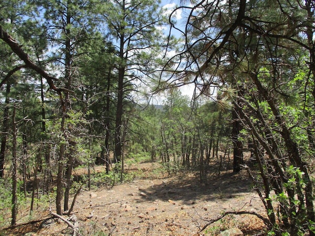 Forest Road 157, Ramah, NM 87321