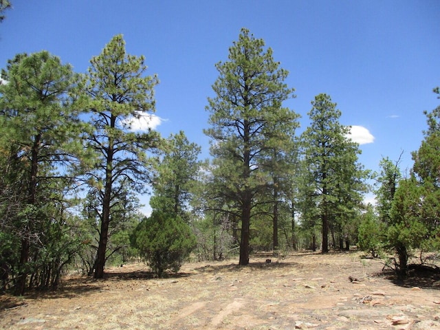 Forest Road 157, Ramah, NM 87321