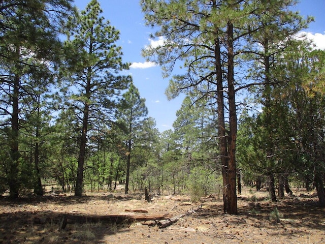 Forest Road 157, Ramah, NM 87321