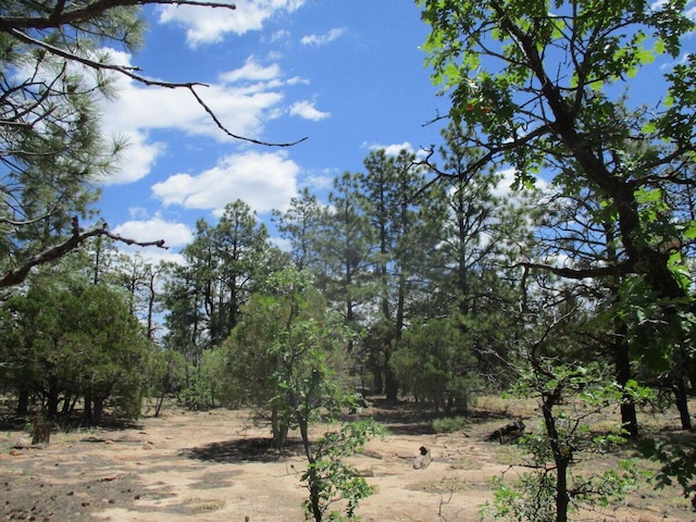 Forest Road 157, Ramah, NM 87321