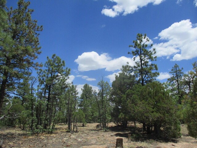 Forest Road 157, Ramah, NM 87321