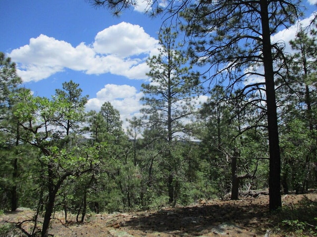 Forest Road 157, Ramah, NM 87321