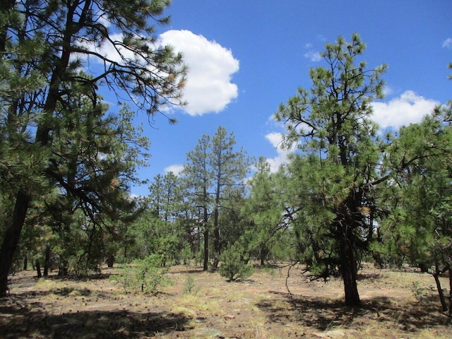 Forest Road 157, Ramah, NM 87321