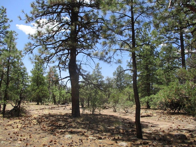 Forest Road 157, Ramah, NM 87321