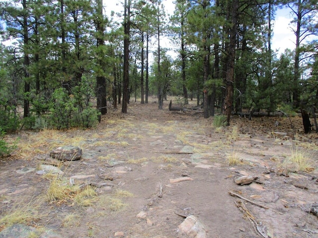 Forest Road 157, Ramah, NM 87321