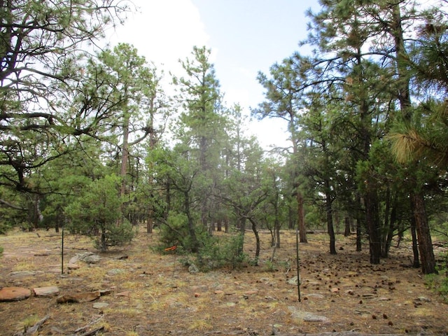 Forest Road 157, Ramah, NM 87321