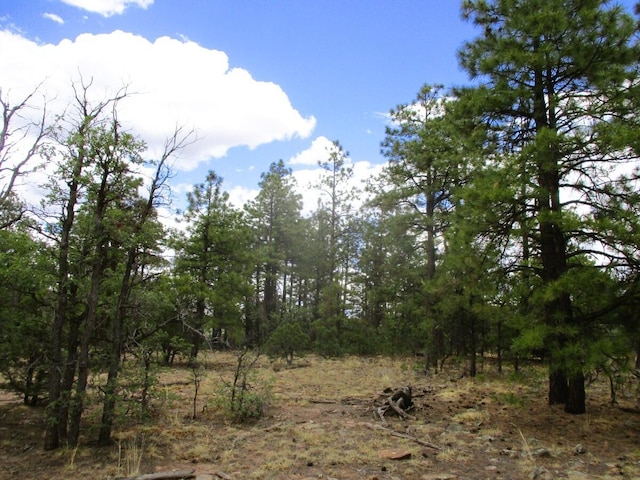 Forest Road 157, Ramah, NM 87321