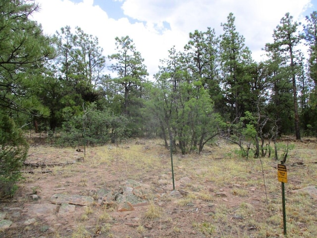 Forest Road 157, Ramah, NM 87321
